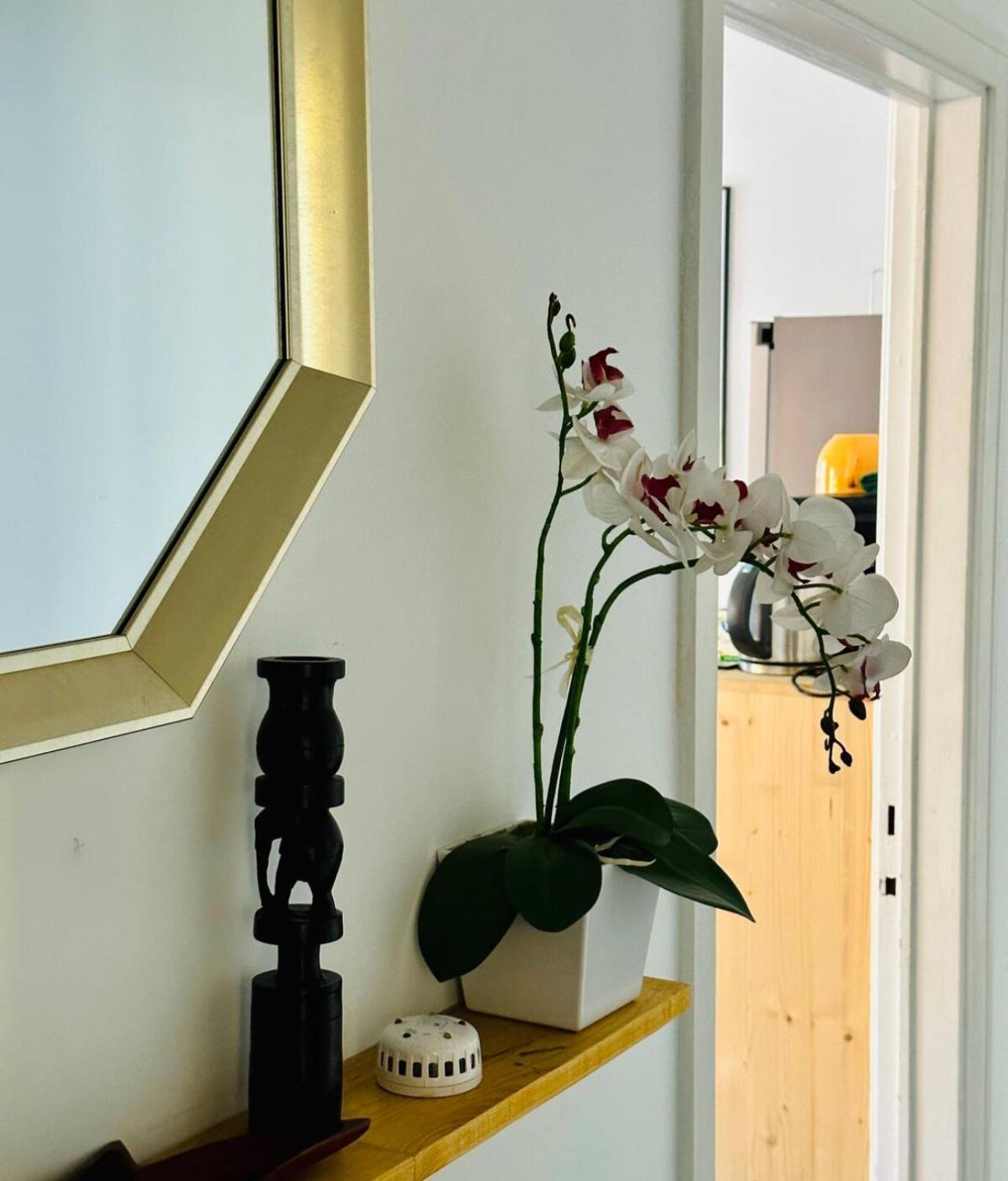 Self-Check In Sunny & Charming Apt Κοΐμπρα Εξωτερικό φωτογραφία